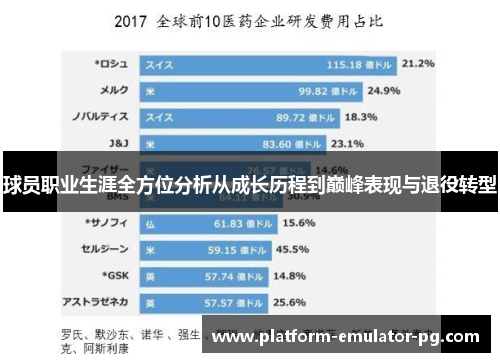 球员职业生涯全方位分析从成长历程到巅峰表现与退役转型